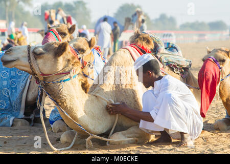 Ras Al Khaimah, Ras Al Khaimah, Émirats arabes unis. 19 Jan, 2018. Les gestionnaires et propriétaires d'attente à la barrière de départ pour la course de chameaux pour commencer.Les courses de chameaux sont organisées chaque semaine au Al Sawan piste de course. Au cours de ces courses les chameaux utiliser robot jockeys. Crédit : Mike Hook/SOPA/ZUMA/Alamy Fil Live News Banque D'Images