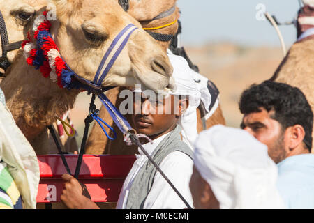 Ras Al Khaimah, Ras Al Khaimah, Émirats arabes unis. 19 Jan, 2018. Les gestionnaires et propriétaires d'attente à la barrière de départ pour la course de chameaux pour commencer.Les courses de chameaux sont organisées chaque semaine au Al Sawan piste de course. Au cours de ces courses les chameaux utiliser robot jockeys. Crédit : Mike Hook/SOPA/ZUMA/Alamy Fil Live News Banque D'Images