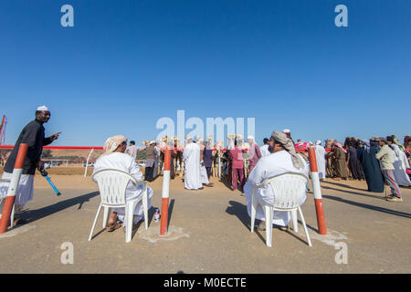 Ras Al Khaimah, Ras Al Khaimah, Émirats arabes unis. 19 Jan, 2018. Les gestionnaires et propriétaires d'attente à la barrière de départ pour la course de chameaux pour commencer.Les courses de chameaux sont organisées chaque semaine au Al Sawan piste de course. Au cours de ces courses les chameaux utiliser robot jockeys. Crédit : Mike Hook/SOPA/ZUMA/Alamy Fil Live News Banque D'Images