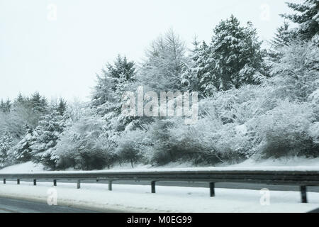 M8, Glasgow, Ecosse, Royaume-Uni, 21 janvier 2018. Conditions de conduite difficiles sur le M8 dans la neige lourde, vu à partir de la location de planche de bord, avec beaucoup d'arbres couverts de neige Banque D'Images