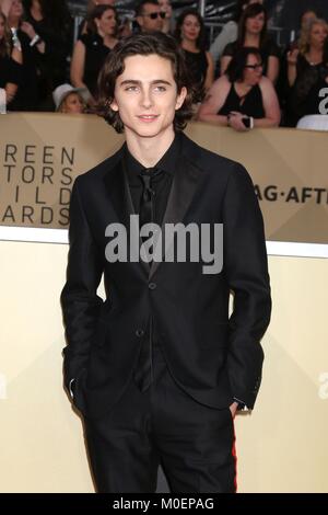 Los Angeles, CA, USA. Jan 21, 2018. Arrivées à Timothée Chalamet pour la 24e conférence annuelle des Screen Actors Guild Awards - Arrivals, Shrine Auditorium, Los Angeles, CA, 21 janvier 2018. Credit : Priscilla Grant/Everett Collection/Alamy Live News Banque D'Images