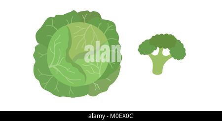 Le brocoli et chou vert vecteur Illustration de Vecteur