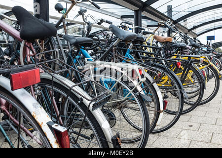 Les vélos garés dans un rack de stationnement Banque D'Images