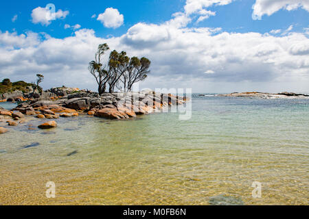 Sur la plage Binalong Bay of Fires de Tasmanie nommé car des incendies sur la côte et le lichen orange vif couvrant le marble rocks Banque D'Images