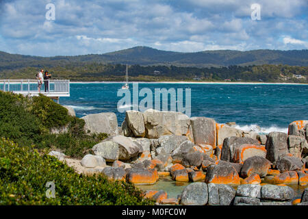 Sur la plage Binalong Bay of Fires de Tasmanie nommé car des incendies sur la côte et le lichen orange vif couvrant le marble rocks Banque D'Images