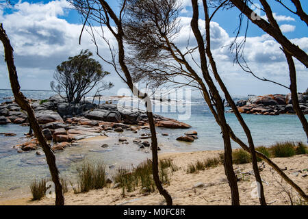 Sur la plage Binalong Bay of Fires de Tasmanie nommé car des incendies sur la côte et le lichen orange vif couvrant le marble rocks Banque D'Images