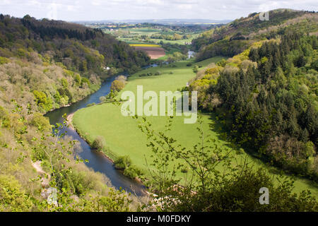 Vista de la rivière Wye de Symond's Yat Rock, forêt de Dean, en Angleterre Banque D'Images