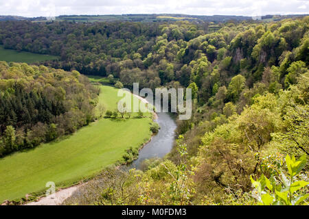 Vista de la rivière Wye de Symond's Yat Rock, forêt de Dean, en Angleterre Banque D'Images