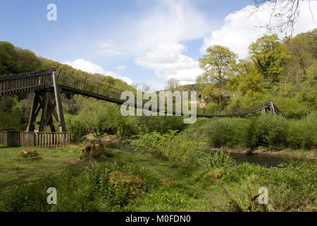 Pont de fil sur la rivière Wye, forêt de Dean, en Angleterre Banque D'Images