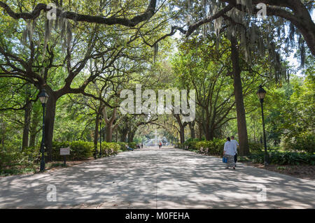 Savannah, Géorgie - 29 mars 2012 - Forsyth Park est un terrain de 30 hectares de parc de la ville dans le quartier historique de Savannah. Banque D'Images