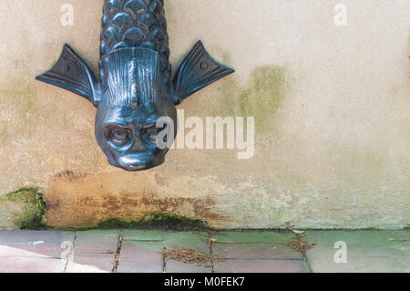 Serpent de mer des eaux pluviales sur un bâtiment en stuc Banque D'Images