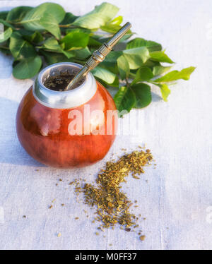 Amérique latine traditionnelle Yerba mate verre dans calebasse calebasse avec bombilla et laisse Banque D'Images