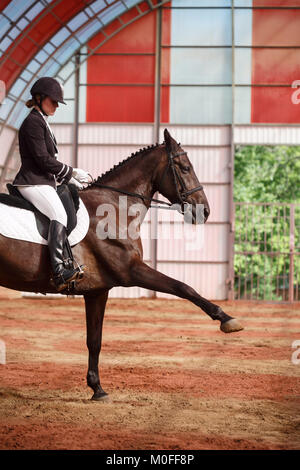 Une douce jeune fille jockey monte un cheval dans une arène couverte. La formation de l'espagnol de lynx. Un pedigree cheval pour le sport équestre. Banque D'Images