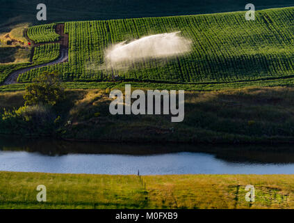 L'agriculture en Tasmanie, Australie Banque D'Images