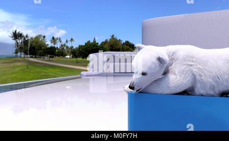 Un ours polaire couché sur un récipient de refroidissement Banque D'Images