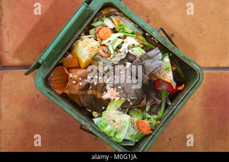 Seau compost vert, remplis de déchets organiques comme les légumes, le café et thé Banque D'Images