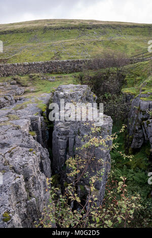 Le Buttertubs, une structure géologique près de la route entre Hawes et Muker dans le North Yorkshire, en Angleterre. Banque D'Images