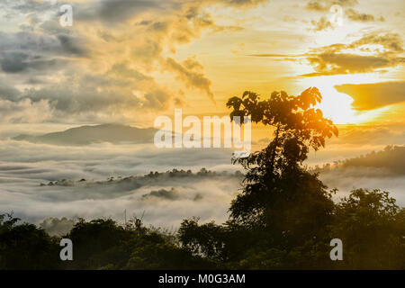 Lever du soleil sur l'atmosphère de forêt vierge primaire, Danum Valley, Bornéo, Sabah, Malaisie Banque D'Images