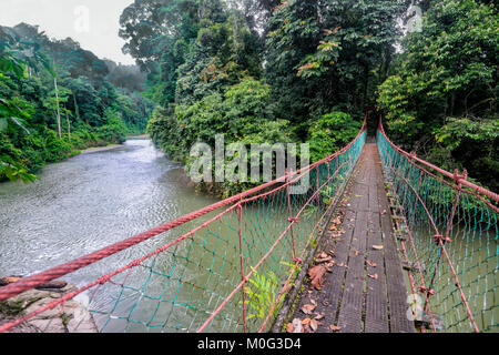 Pont suspendu sur la rivière Danum, Danum Valley, Bornéo, Sabah, Malaisie Banque D'Images