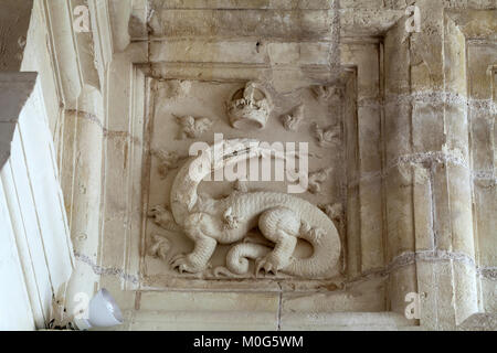 Motifs héraldiques dans le château de Chambord. .Vallée de la rivière du Cher. France Banque D'Images