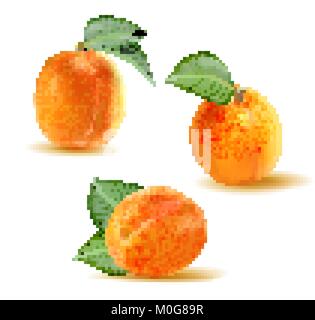 Apricot Vector set. Collection de 3D réaliste abricots entiers isolé sur fond blanc Illustration de Vecteur