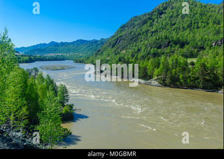 Une rivière de montagne forêt streaming entre banques centrales en été Banque D'Images