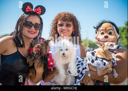 RIO DE JANEIRO - le 19 février 2017 : un groupe de propriétaires de chiens posent avec leurs animaux domestiques déguisés pour le carnaval à l'animal de compagnie Blocão street party à Copacabana. Banque D'Images