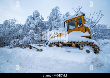 Niveleuse nettoie le tracteur à chenilles de la neige sur une route forestière. Fond d'hiver. Banque D'Images