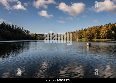 Shearwater Lake dans le Wiltshire au cours de l'automne Banque D'Images