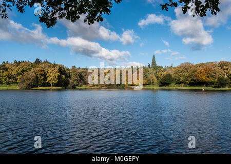 Shearwater Lake dans le Wiltshire au cours de l'automne Banque D'Images