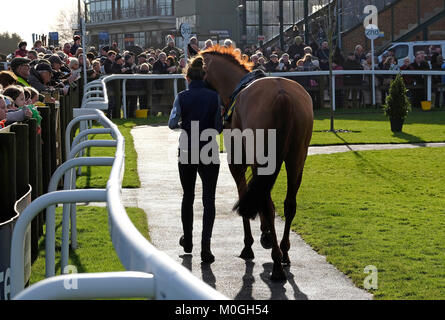 Gestionnaire de chevaux de course à pied des femmes autour de l'anneau de parade à fakenham races, Norfolk, Angleterre Banque D'Images