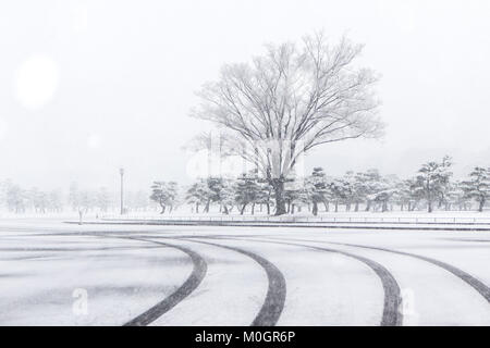 Tokyo, Japon. 22 janvier, 2018. Le Palais Impérial est vu dans la neige à Tokyo, Japon, le 22 janvier 2018. Credit : Ma Caoran/Xinhua/Alamy Live News Banque D'Images