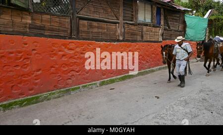 Salento, Quindio, la Colombie. 3e oct, 2016. Les agriculteurs colombiens guide un groupe de chevaux à travers la ville de Salento, dans le triangle du café en Colombie Credit : Crédit : /ZUMA Wire/Alamy Live News Banque D'Images