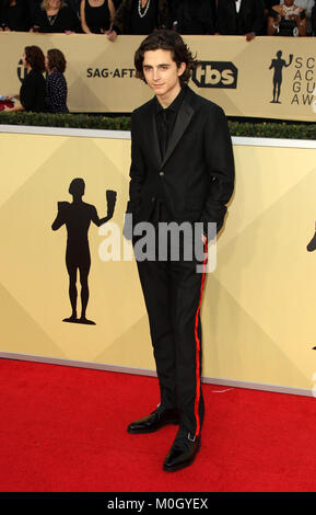 Los Angeles, CA, USA. 22 janvier, 2018. 21 janvier 2018 - Los Angeles, Californie - Timothée Chalamet. 24e édition des Screen Actors Guild Awards arrivants tenue au Shrine Auditorium à Los Angeles. Photo Credit : Crédit : AdMedia AdMedia/ZUMA/Alamy Fil Live News Banque D'Images