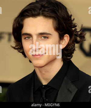 Los Angeles, CA, USA. 22 janvier, 2018. 21 janvier 2018 - Los Angeles, Californie - Timothée Chalamet. 24e édition des Screen Actors Guild Awards arrivants tenue au Shrine Auditorium à Los Angeles. Photo Credit : Crédit : AdMedia AdMedia/ZUMA/Alamy Fil Live News Banque D'Images