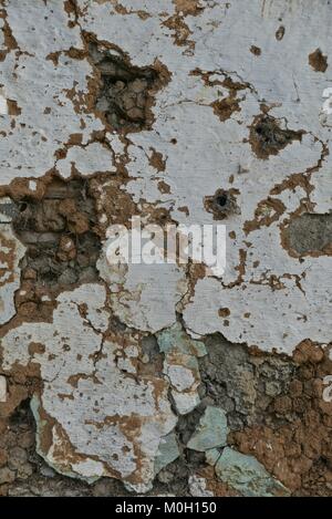 Salento, Quindio, la Colombie. 3e oct, 2016. Mur bahareque traditionnel en mauvais état dans le Salento, la Colombie Credit : Crédit : /ZUMA Wire/Alamy Live News Banque D'Images