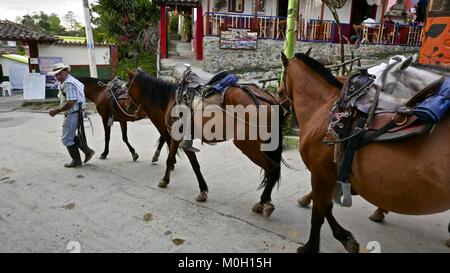 Salento, Quindio, la Colombie. 3e oct, 2016. Les agriculteurs colombiens guide un groupe de chevaux à travers la ville de Salento, dans le triangle du café en Colombie Credit : Crédit : /ZUMA Wire/Alamy Live News Banque D'Images