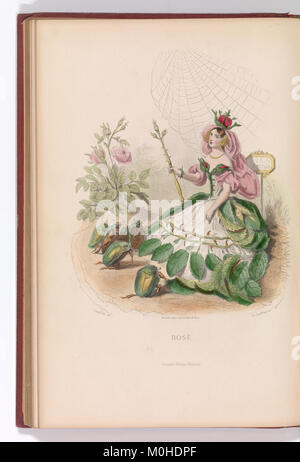 L'œuvre de *les fleurs animées* présente des fleurs personnifiées en illustration détaillée, représentant les tendances artistiques du XIXe siècle en botanique et en visuel romantique Banque D'Images