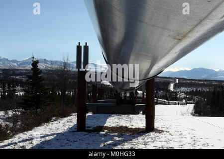 Le système de pipeline Trans-Alaska le long de l'autoroute Richardson en Alaska. Le pipeline de pétrole brut se déplace de Prudhoe Bay à Valdez. Banque D'Images