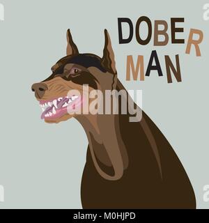 Chien doberman en colère face à l'illustration vectorielle style plat Illustration de Vecteur