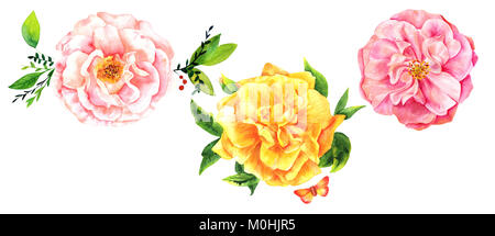 Un ensemble de trois fleurs Aquarelle, rose et jaune vert roses avec des branches et des feuilles, et un papillon, isolé sur blanc, éléments de conception pour le saluer Banque D'Images