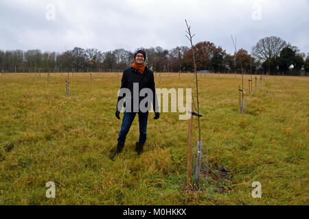 Sainsbury's célèbre un jalon clé cette semaine comme le trois millionième arbre est planté à travers son partenariat avec le Woodland Trust. L'arbre sera planté dans un régiment d'arbres 'comme un rappel poignant à une inspection des troupes 1915 par Lord Kitchener - à Langley Vale Wood, Surrey. Elle fait partie d'un événement spécial à laquelle ont participé de hauts responsables, y compris Sainsbury's Group CEO Mike Coupé, Directeur de Sainsbury's et de la marque Judith Batchelar Woodland Trust's chair La baronne Young de vieux Scone. Sainsbury's collègues auront également l'occasion de planter des arbres sur le site, y compris C Banque D'Images