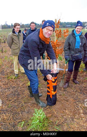 Sainsbury's célèbre un jalon clé cette semaine comme le trois millionième arbre est planté à travers son partenariat avec le Woodland Trust. L'arbre sera planté dans un régiment d'arbres 'comme un rappel poignant à une inspection des troupes 1915 par Lord Kitchener - à Langley Vale Wood, Surrey. Elle fait partie d'un événement spécial à laquelle ont participé de hauts responsables, y compris Sainsbury's Group CEO Mike Coupé, Directeur de Sainsbury's et de la marque Judith Batchelar Woodland Trust's chair La baronne Young de vieux Scone. Sainsbury's collègues auront également l'occasion de planter des arbres sur le site, y compris C Banque D'Images