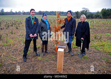 Sainsbury's célèbre un jalon clé cette semaine comme le trois millionième arbre est planté à travers son partenariat avec le Woodland Trust. L'arbre sera planté dans un régiment d'arbres 'comme un rappel poignant à une inspection des troupes 1915 par Lord Kitchener - à Langley Vale Wood, Surrey. Elle fait partie d'un événement spécial à laquelle ont participé de hauts responsables, y compris Sainsbury's Group CEO Mike Coupé, Directeur de Sainsbury's et de la marque Judith Batchelar Woodland Trust's chair La baronne Young de vieux Scone. Sainsbury's collègues auront également l'occasion de planter des arbres sur le site, y compris C Banque D'Images