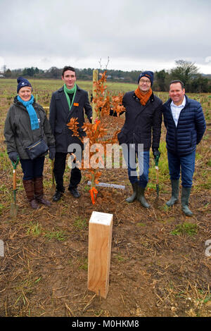 Sainsbury's célèbre un jalon clé cette semaine comme le trois millionième arbre est planté à travers son partenariat avec le Woodland Trust. L'arbre sera planté dans un régiment d'arbres 'comme un rappel poignant à une inspection des troupes 1915 par Lord Kitchener - à Langley Vale Wood, Surrey. Elle fait partie d'un événement spécial à laquelle ont participé de hauts responsables, y compris Sainsbury's Group CEO Mike Coupé, Directeur de Sainsbury's et de la marque Judith Batchelar Woodland Trust's chair La baronne Young de vieux Scone. Sainsbury's collègues auront également l'occasion de planter des arbres sur le site, y compris C Banque D'Images