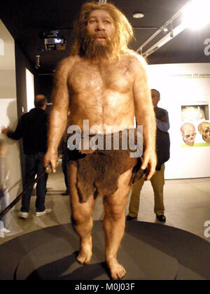 L’exposition au Museo de la Evolución Humana (MEH) à Burgos, Espagne, présente l’espèce Homo neanderthalensis dans le cadre de sa collection permanente sur l’histoire de l’évolution humaine. Banque D'Images