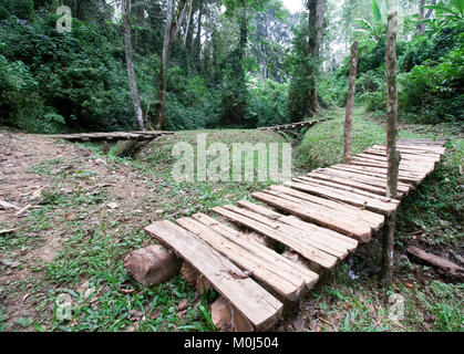 Des ponts en bois sur un petit cours d'eau dans la forêt de Kakamega, Kenya Banque D'Images