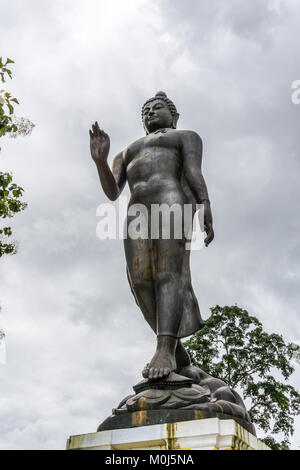 Asie,Thaïlande,Chang Saen,Sop Ruak,Wat Phra que Pukhao,temple Buddha statue Banque D'Images