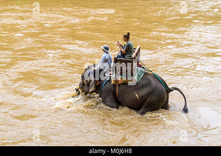 Asie,Thaïlande,Mae Rim,Maetaman Elephant Camp touristique,randonnée Banque D'Images