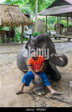 Asie,Thaïlande,Mae Rim,Maetaman Elephant Camp Banque D'Images